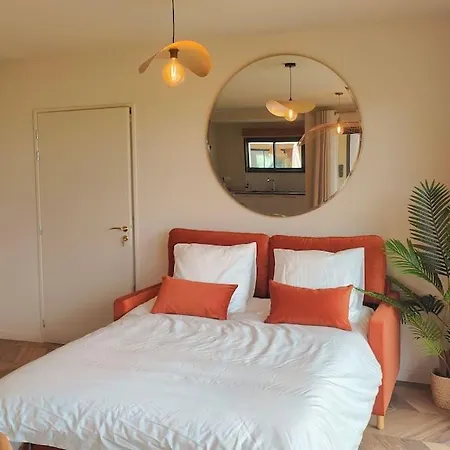 Camelia Rose Vue Et Jacuzzi فيلة